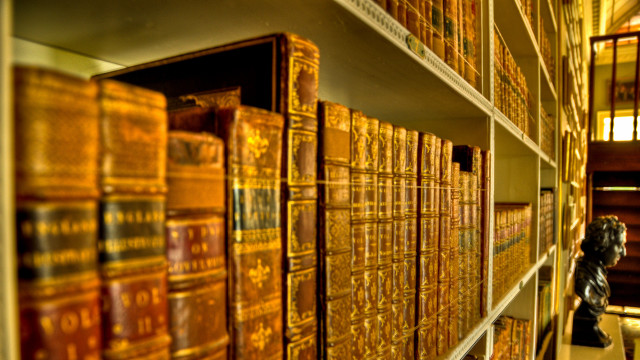 Room bookshelves lion statue man free wallpaper - medium preview image
