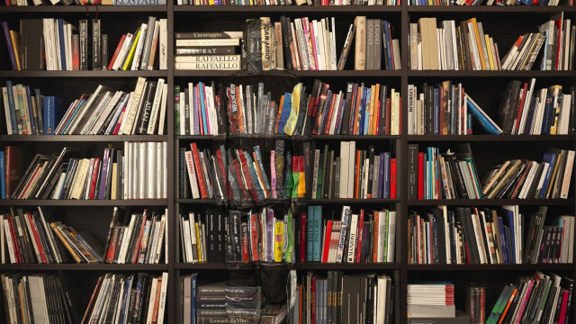 Bookshelf cat academic art library free wallpaper - medium preview image