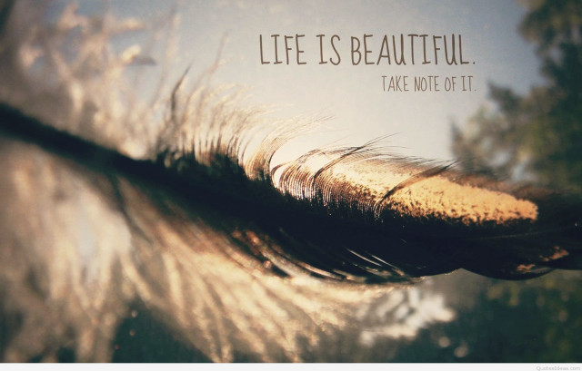 Feather quote life beautiful take free wallpaper - medium preview image