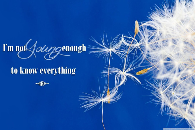 Dandelion quote im not going free wallpaper - medium preview image