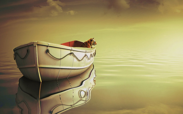Cat boat water sun cloudy free wallpaper - medium preview image