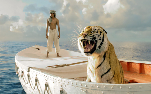 Man tiger boat beach sunset free wallpaper - medium preview image