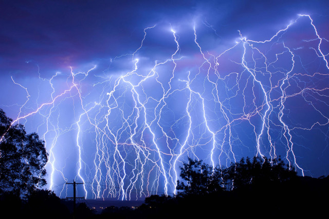 Lightning strikes night sky trees free wallpaper - medium preview image