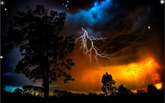 Tree lightning bird flying night free wallpaper - medium preview image