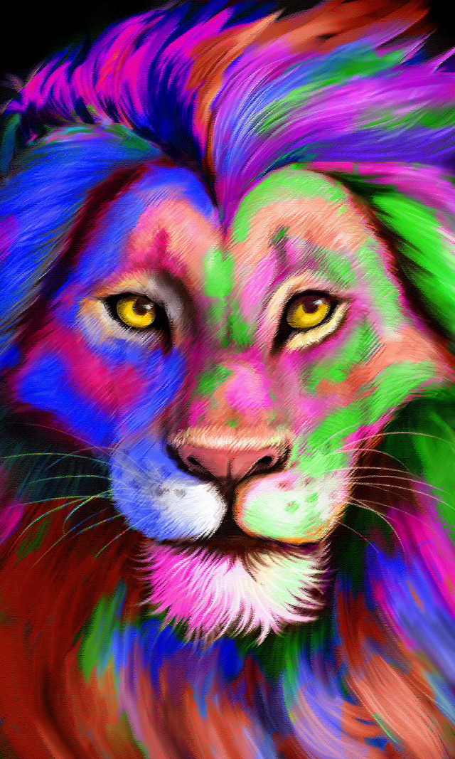 Colorful lion black background white free wallpaper - medium preview image