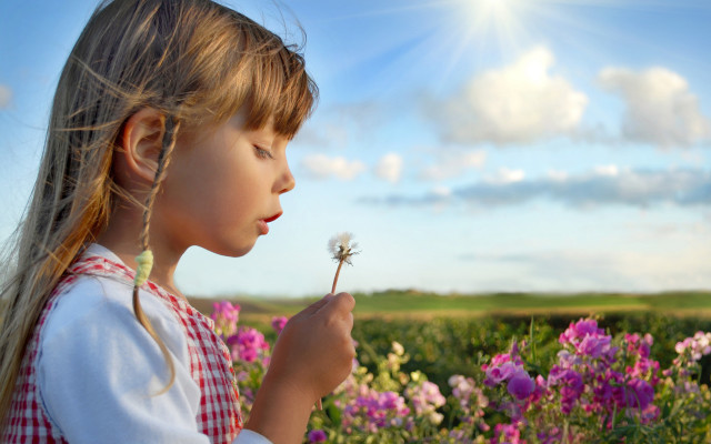 Little girl blowing dandelion field free wallpaper - medium preview image