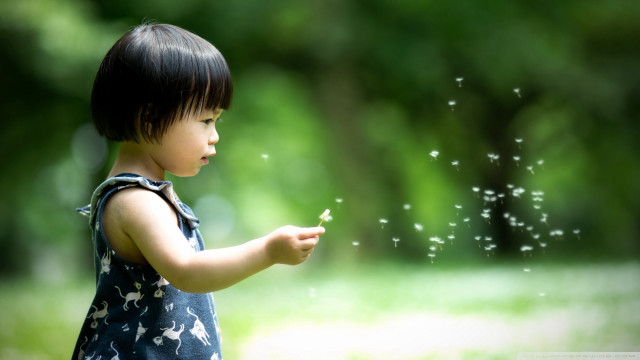 Little girl dandelion park blurry free wallpaper - medium preview image