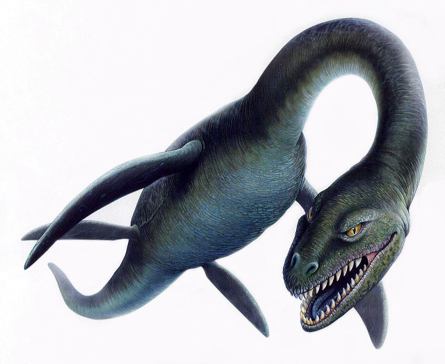 Dinosaur large mouth small long free wallpaper - medium preview image