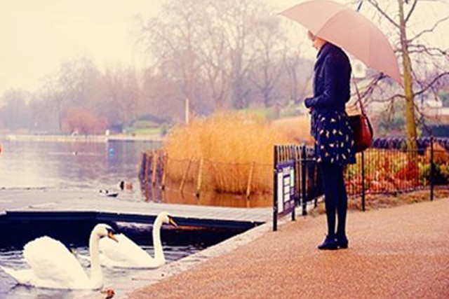 Woman lake swan umbrella standing free wallpaper - medium preview image