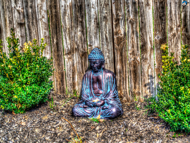 Buddha garden fence shrubbery cityscape free wallpaper - medium preview image