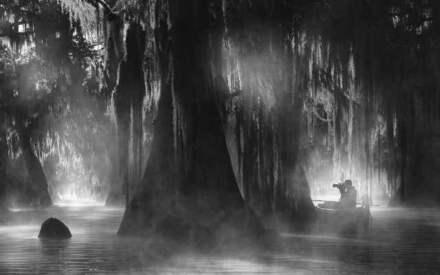 Man boat swamp trees fog free wallpaper - medium preview image