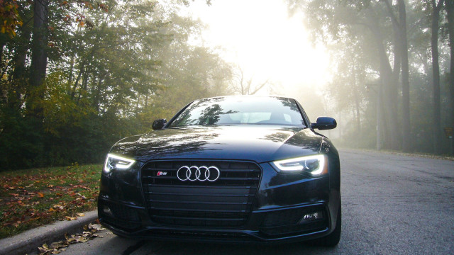 Black car parked woods sunlight free wallpaper - medium preview image