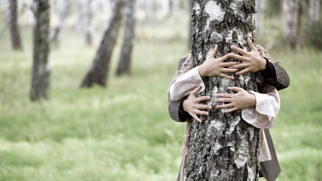 Person hugging tree forest hands free wallpaper - medium preview image