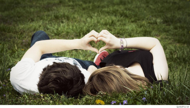 Couple heart hands grass flower free wallpaper - medium preview image