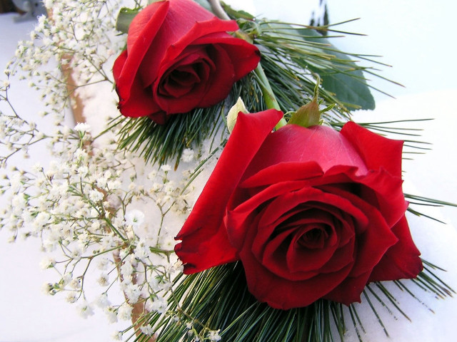 Two red roses white tablecloth free wallpaper - medium preview image