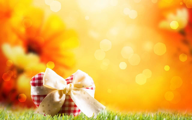 Bow grass sunflower bokeh light free wallpaper - medium preview image