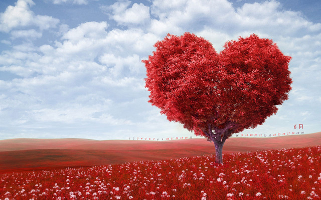 Heart shaped tree field flowers #9 free wallpaper - medium preview image