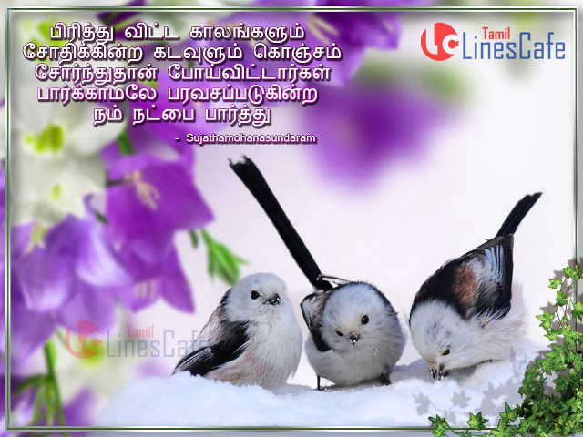 Three birds snow covered ground free wallpaper - medium preview image