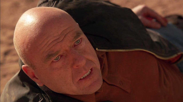 Bald man laying ground jacket free wallpaper - medium preview image