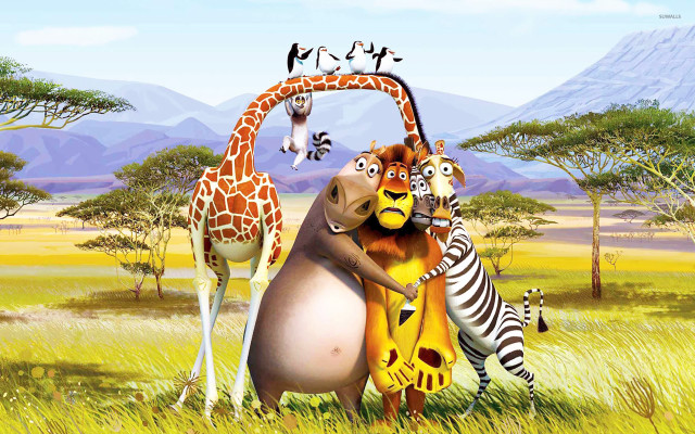 Animals grass giraffe zebra group free wallpaper - medium preview image