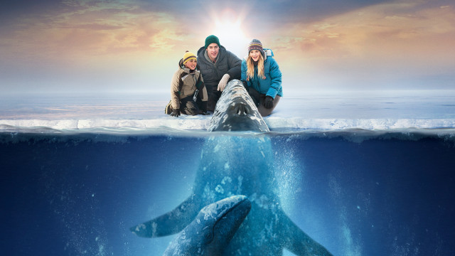 People whale ride ocean sunset free wallpaper - medium preview image