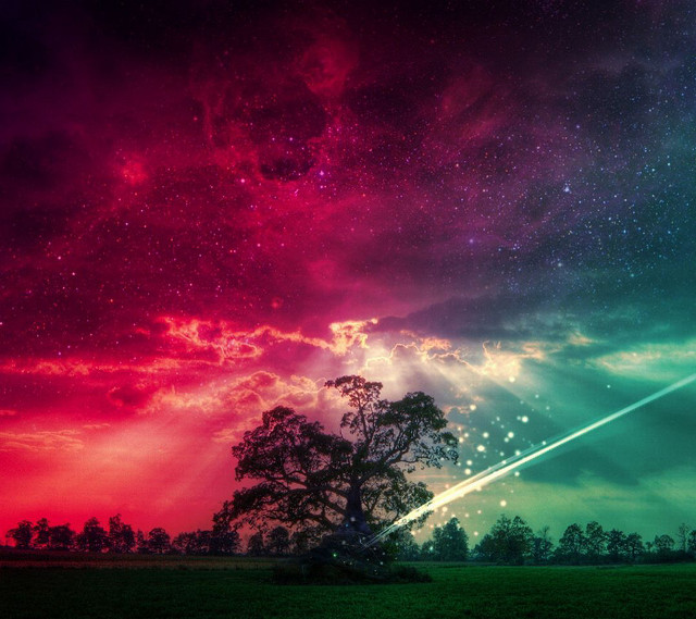 Colorful sky tree shooting star #2 free wallpaper - medium preview image