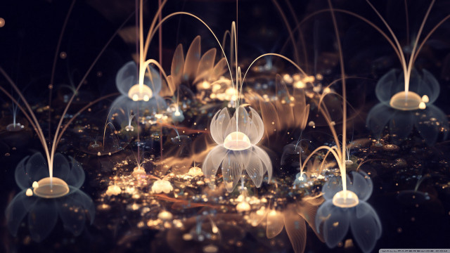 Jellyfish group floating pond water free wallpaper - medium preview image