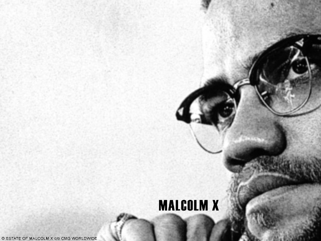 Man glasses beard hand chin free wallpaper - medium preview image