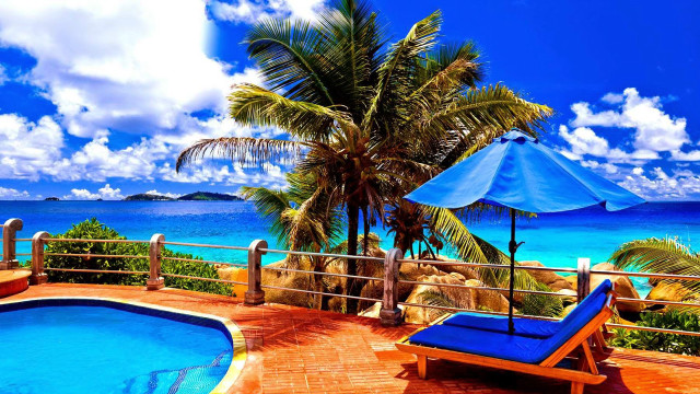 Deck pool blue umbrella palm free wallpaper - medium preview image