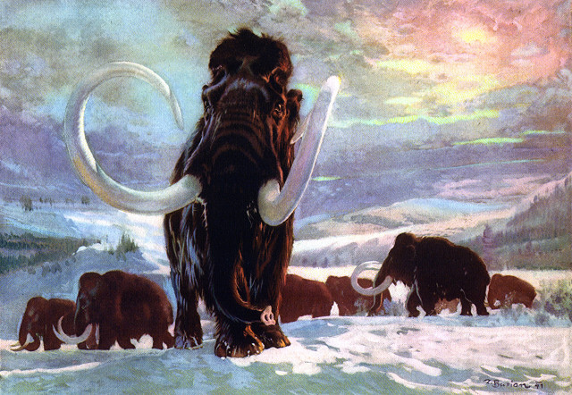 Woolly mammoths snowy landscape rainbow free wallpaper - medium preview image