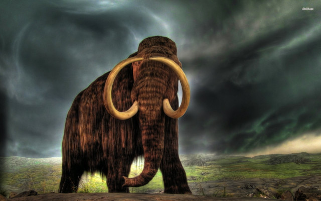 Mammoth field cloudy sky storm #2 free wallpaper - medium preview image