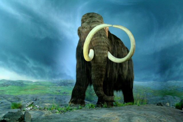 Woolly mammoth rocky hill cloudy free wallpaper - medium preview image
