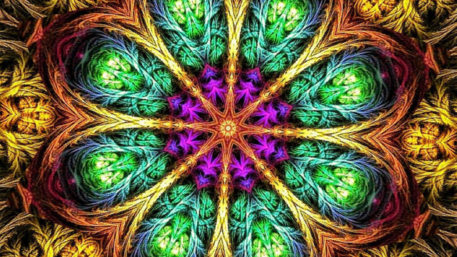 Colorful flower green center surrounded free wallpaper - medium preview image