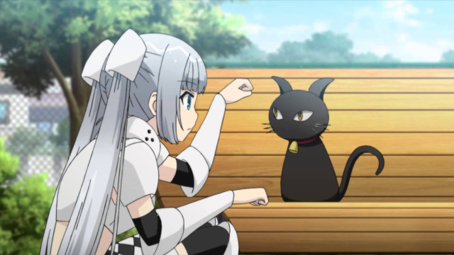 Woman bench blackcat park blueeyes free wallpaper - medium preview image