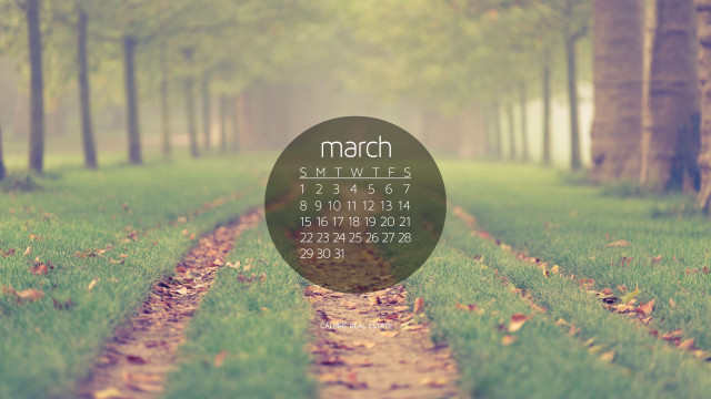Forest path calendar background nature free wallpaper - medium preview image