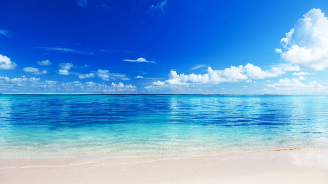 Beach clear blue ocean sandy free wallpaper - medium preview image