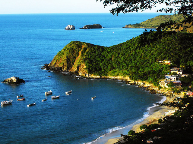 Beach boats hill trees houses free wallpaper - medium preview image