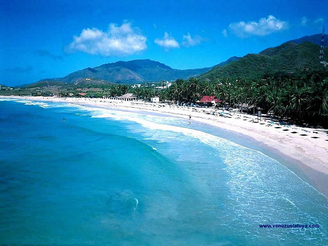 Cui bai beach palm mountains free wallpaper - medium preview image
