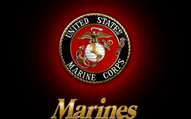 Marine emblem red background gold #2 free wallpaper - medium preview image