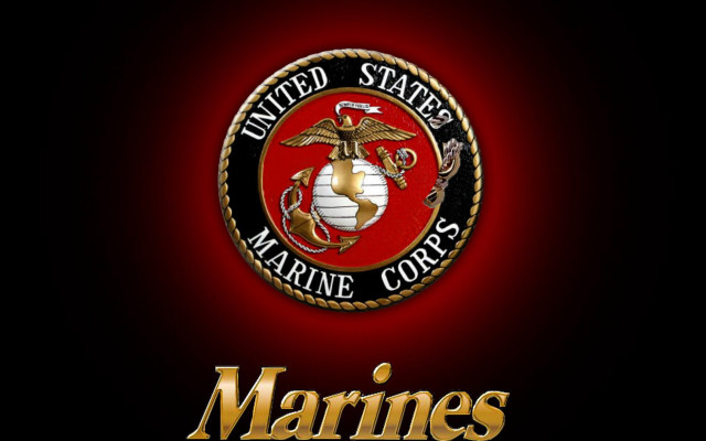 Marine emblem red background gold #3 free wallpaper - medium preview image