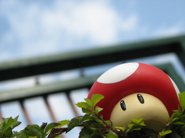 Mushroom toy tree sky bridge #2 free wallpaper - medium preview image