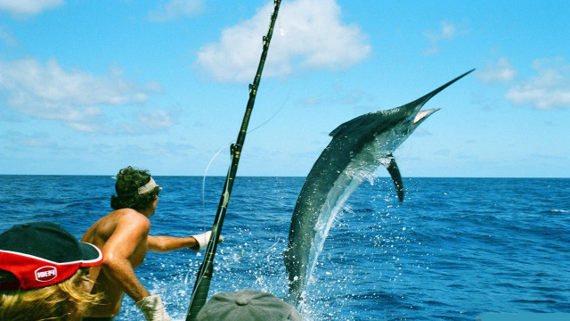Man fishing large fish ocean free wallpaper - medium preview image