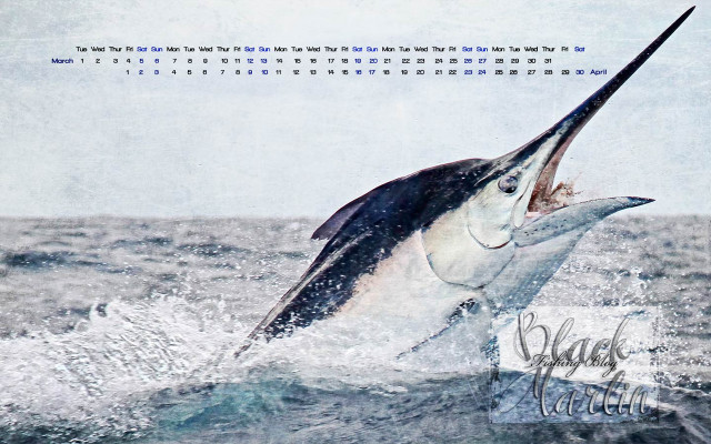 Large white marlin jumping fishing free wallpaper - medium preview image