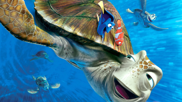 Turtle fish swimming ocean Finding free wallpaper - medium preview image