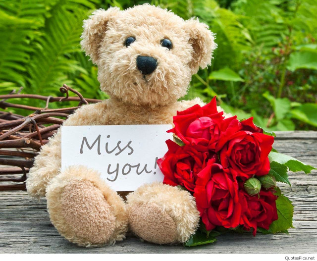 Teddy bear miss you bouquet #2 free wallpaper - medium preview image