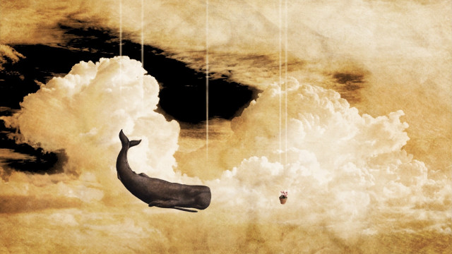 Whale floating kite clouds bird free wallpaper - medium preview image