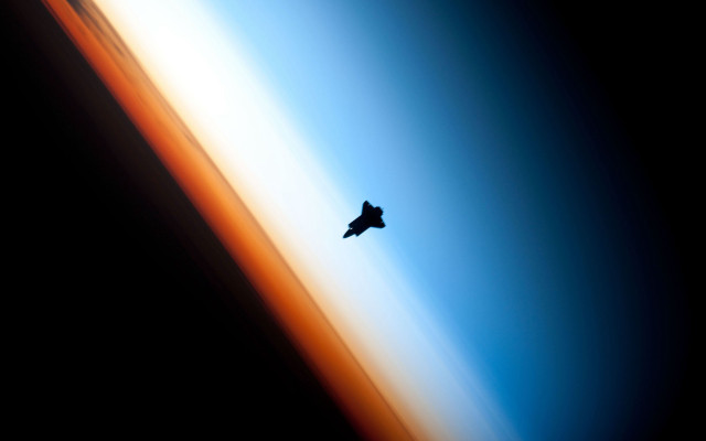 Bird flying sky earth horizon free wallpaper - medium preview image