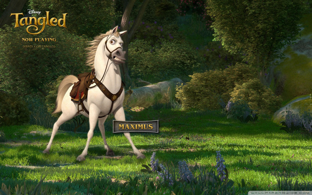White horse saddle running forest free wallpaper - medium preview image