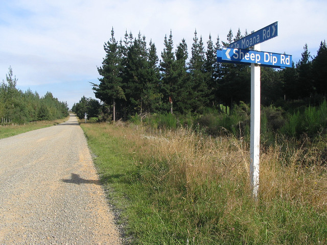 Street sign dirt road forest free wallpaper - medium preview image