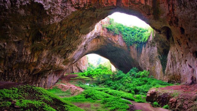 Cave large opening lush forest free wallpaper - medium preview image